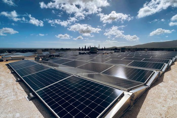 Installing Commercial Solar: What to Expect From Your Utility—and How Your Solar Company Can Help