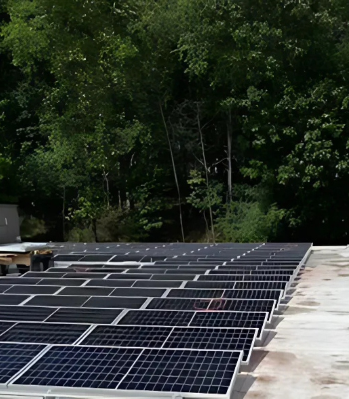 Bassett Furniture Solar Installation