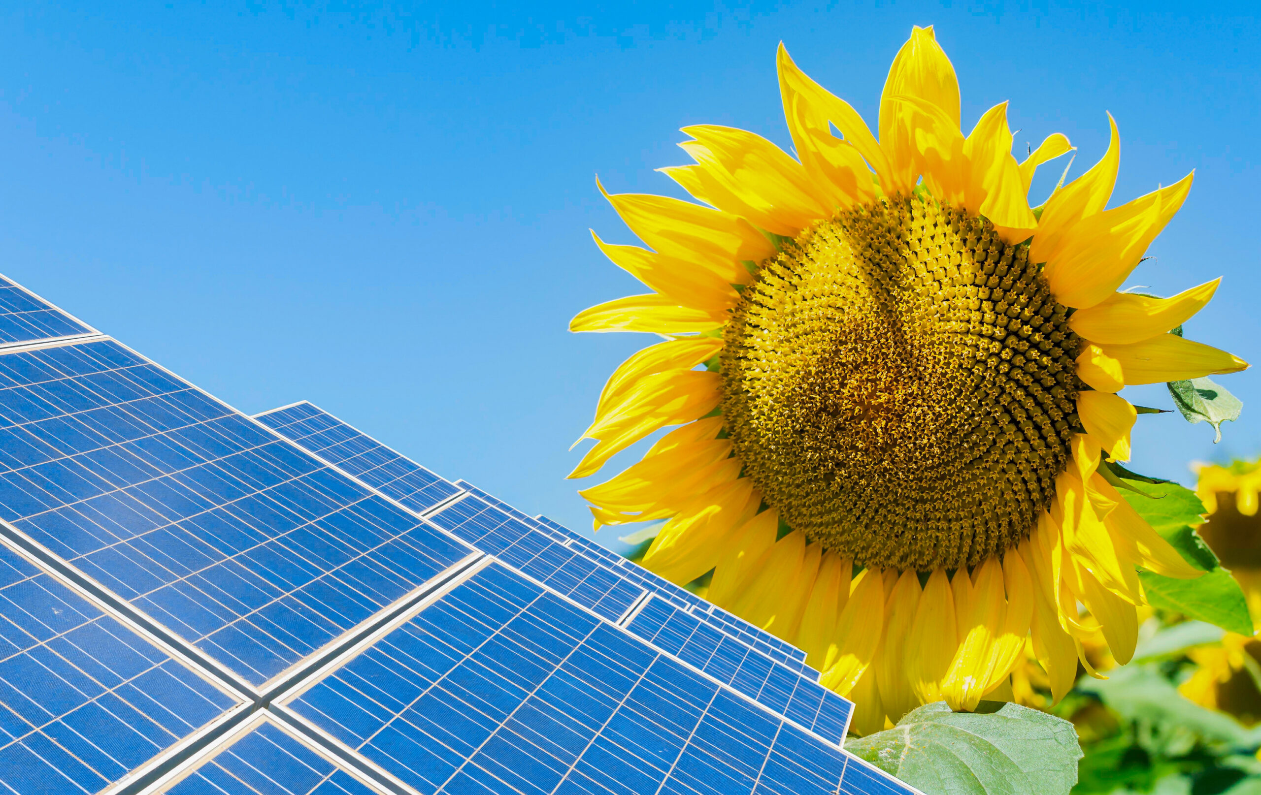 Commercial solar financing options
